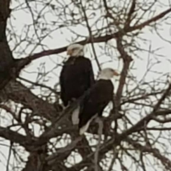 Meet your Posher, Denise - Picture 1 of 1